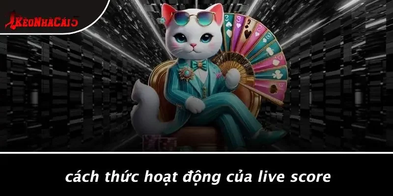 Cách Thức Hoạt Động Của Live Score