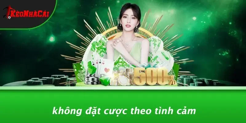 Không Đặt Cược Theo Tình Cảm