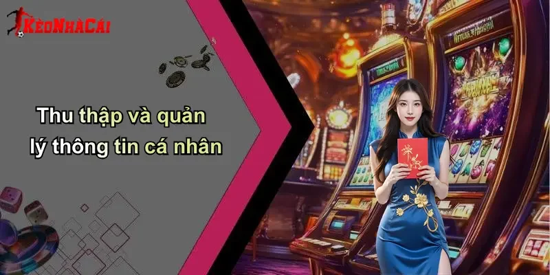 Thu thập và quản lý thông tin cá nhân