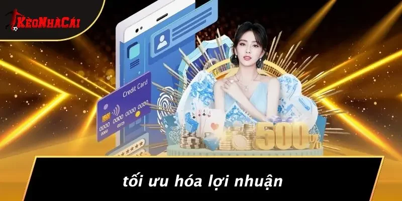 Tối Ưu Hóa Lợi Nhuận
